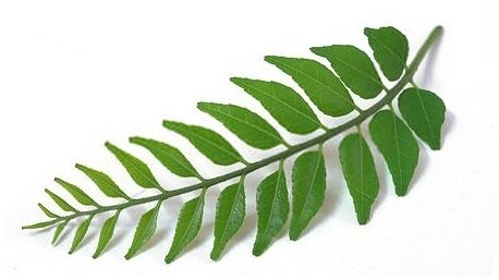 curry leaves powder 250 gms