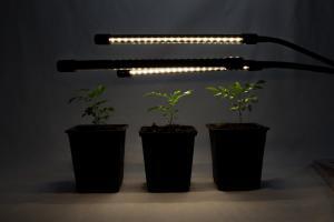 Luce di coltivazione a LED